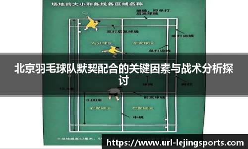 北京羽毛球队默契配合的关键因素与战术分析探讨
